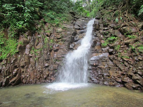Enbas Saut Rainforest Trail & Waterfalls