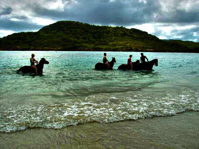 Horseback Riding – International Pony Club