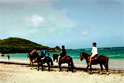 Horseback Riding – Trim’s Riding Stables