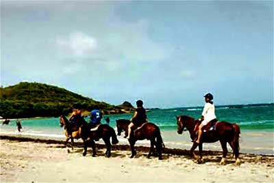 Horseback Riding – Trim’s Riding Stables