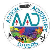 Action Adventure Divers