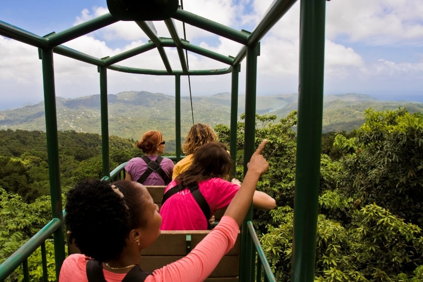 Rainforest Ariel Tram, Zip Lines