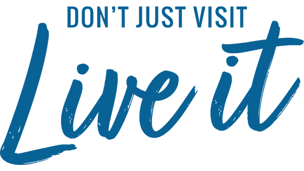 Dont Just Visit Love It