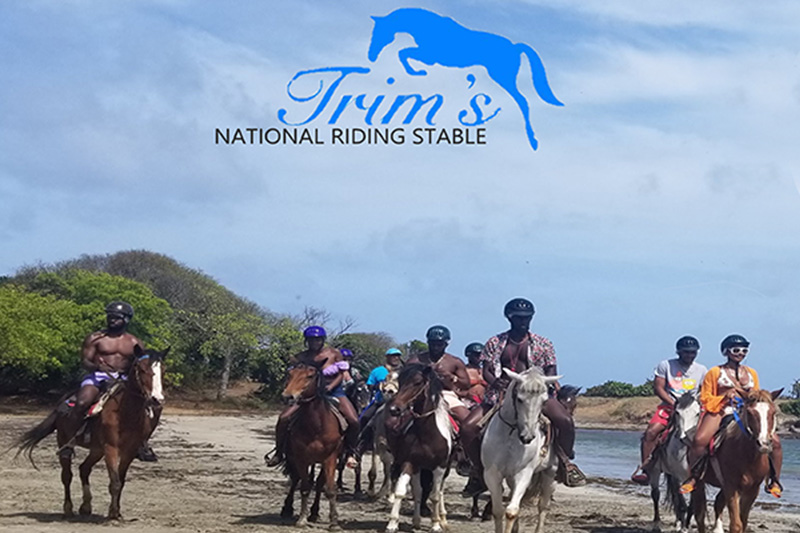 Trim's National Riding Stable group on beach