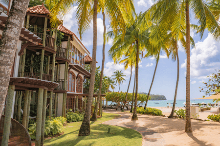 Saint Lucia Get Closer Offers