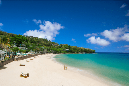 Saint Lucia  Black FridayCyber Monday Offers