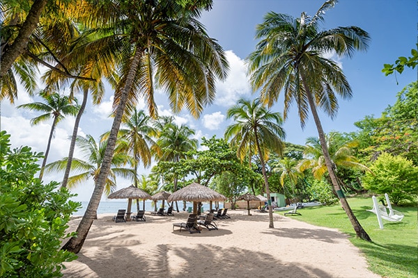 Saint Lucia Offers