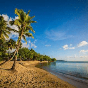 Saint Lucia Black FridayCyber Monday Offers