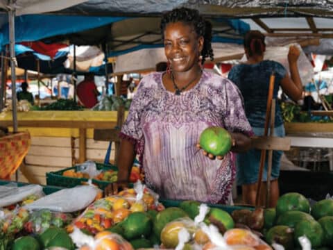 Saint Lucia Caribbean Island | Official Tourism Website | Let Her ...