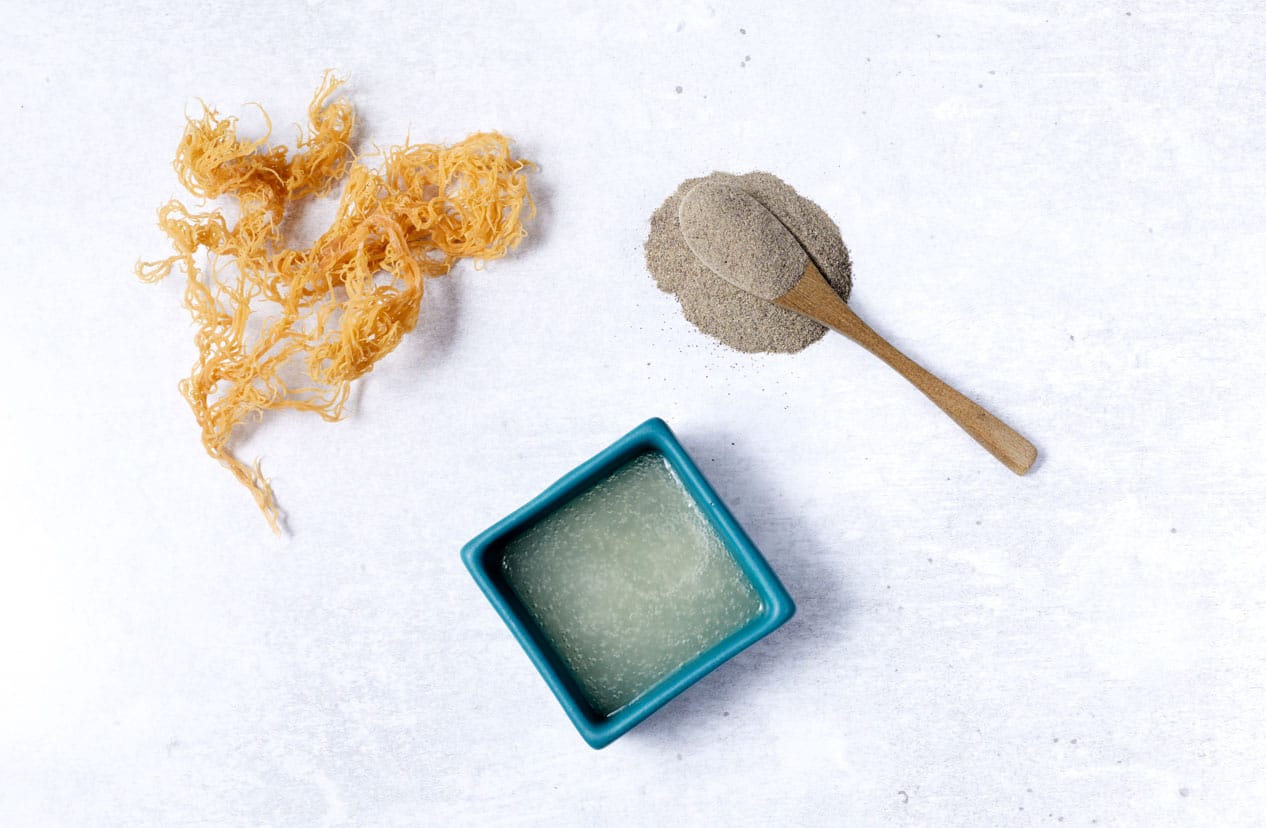 sea-moss-pic Sea Moss