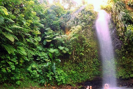 Saint Lucia  Offers